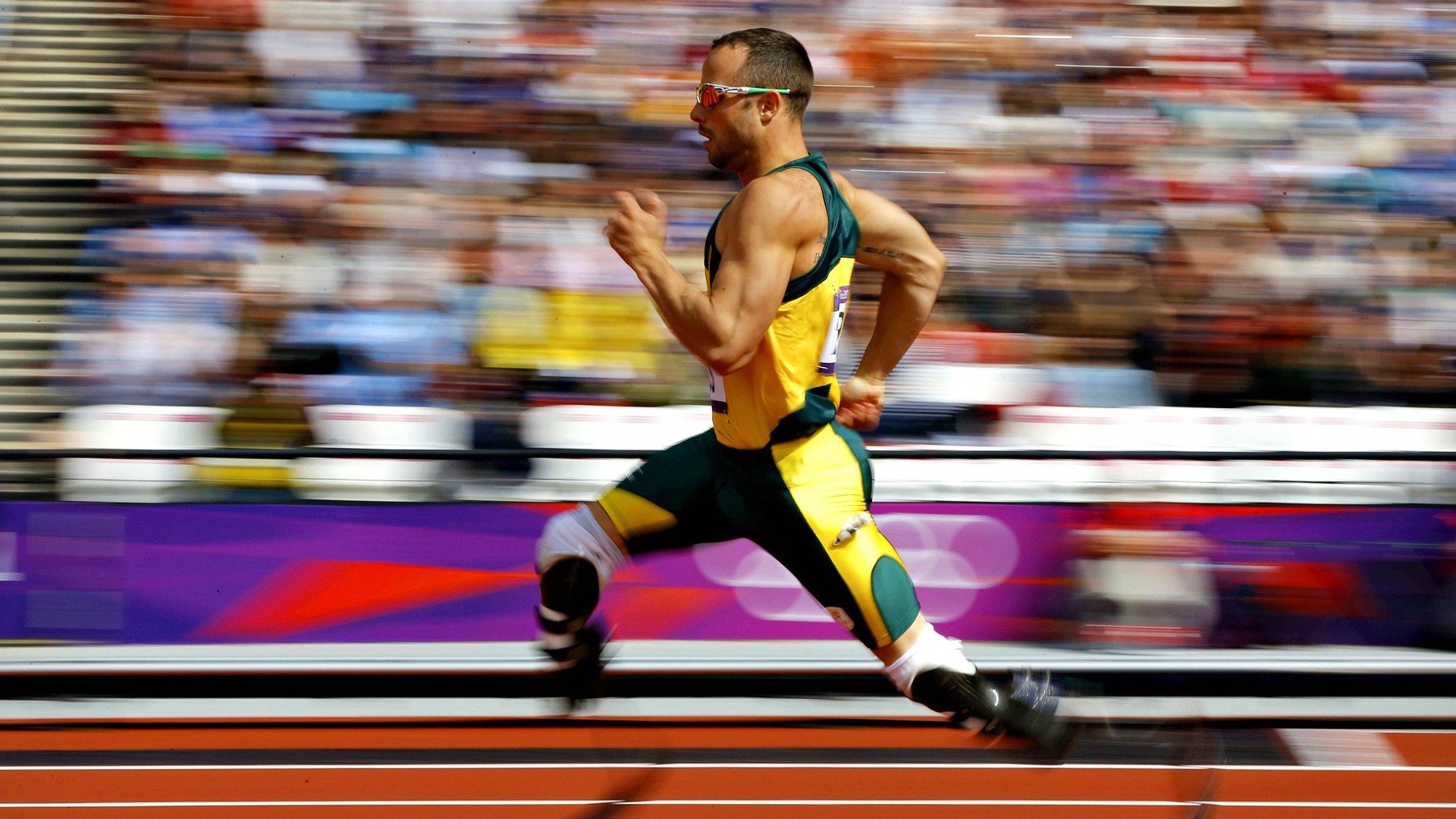 瑞士骑手马丁·福克斯在巴黎奥运会后成为马术协会主席,推动马术运动发展。