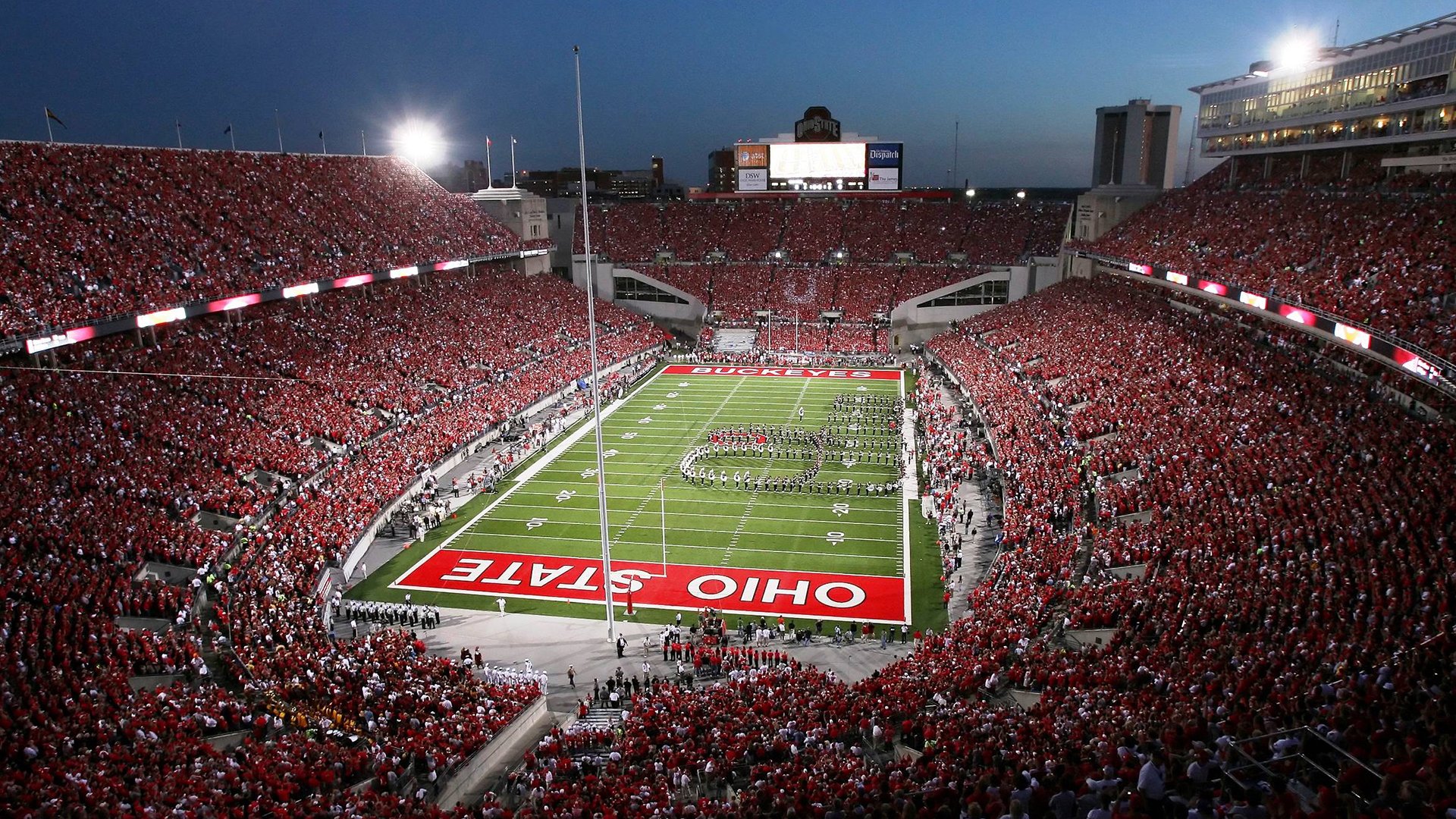 粉丝互动盛典：车迷见证冠军荣耀时刻，车是谁的粉丝名